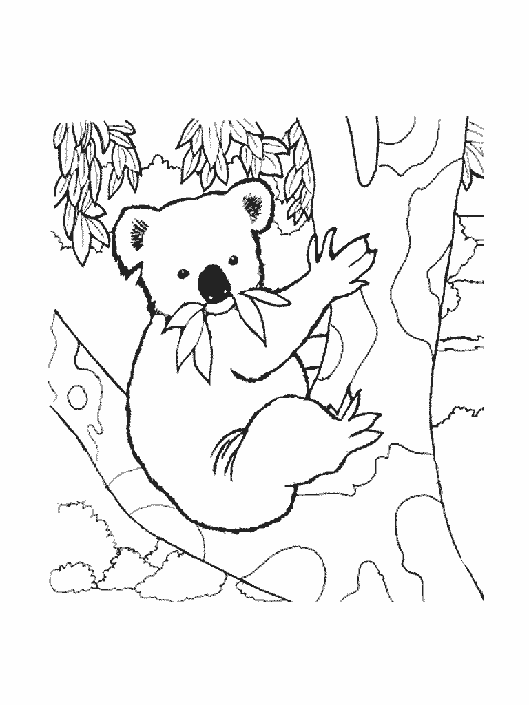 Dessin à colorier: Koala (Animaux) #9337 - Coloriages à Imprimer Gratuits