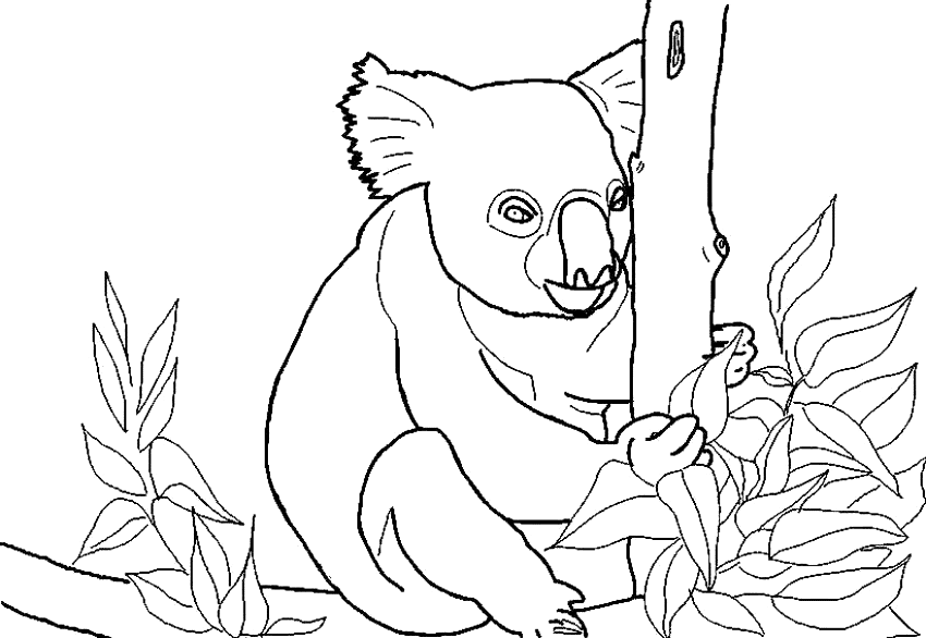 Dessin à colorier: Koala (Animaux) #9383 - Coloriages à Imprimer Gratuits