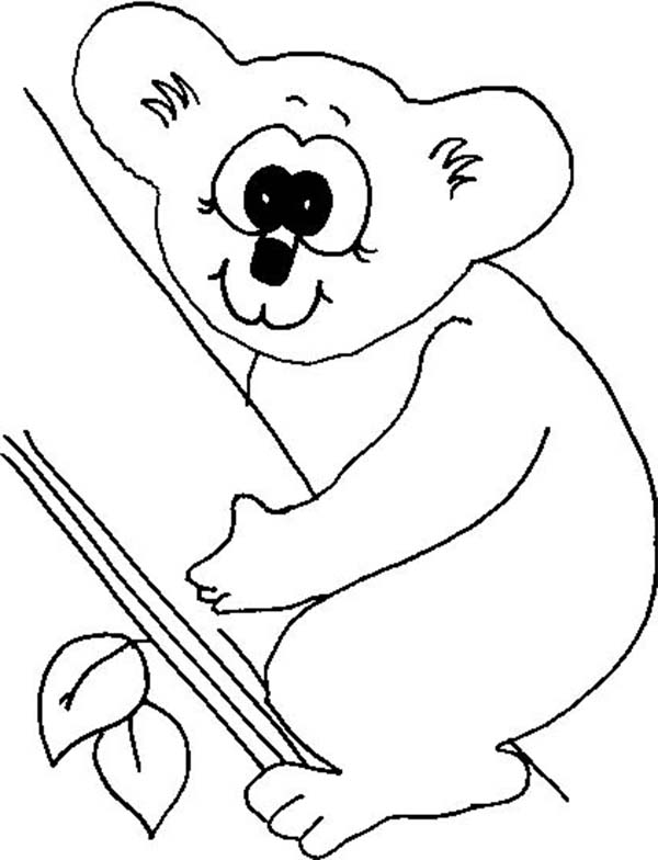 Dessin à colorier: Koala (Animaux) #9393 - Coloriages à Imprimer Gratuits