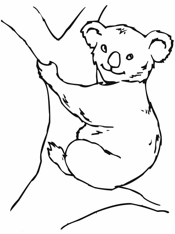 Dessin à colorier: Koala (Animaux) #9399 - Coloriages à Imprimer Gratuits