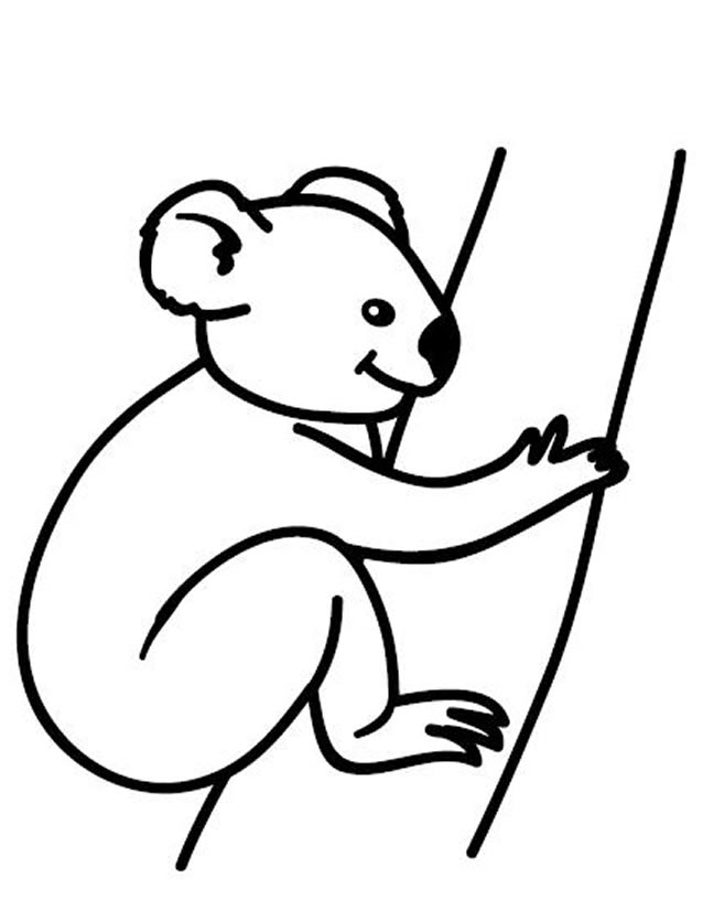 Dessin à colorier: Koala (Animaux) #9401 - Coloriages à Imprimer Gratuits