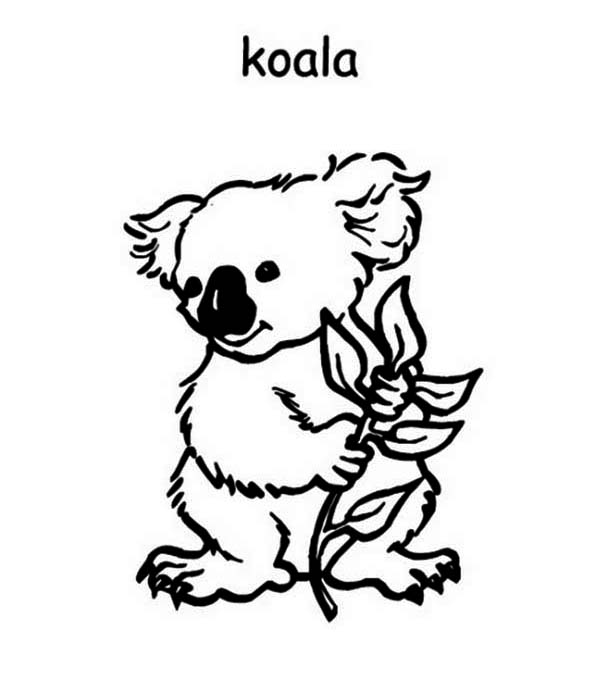 Dessin à colorier: Koala (Animaux) #9420 - Coloriages à Imprimer Gratuits