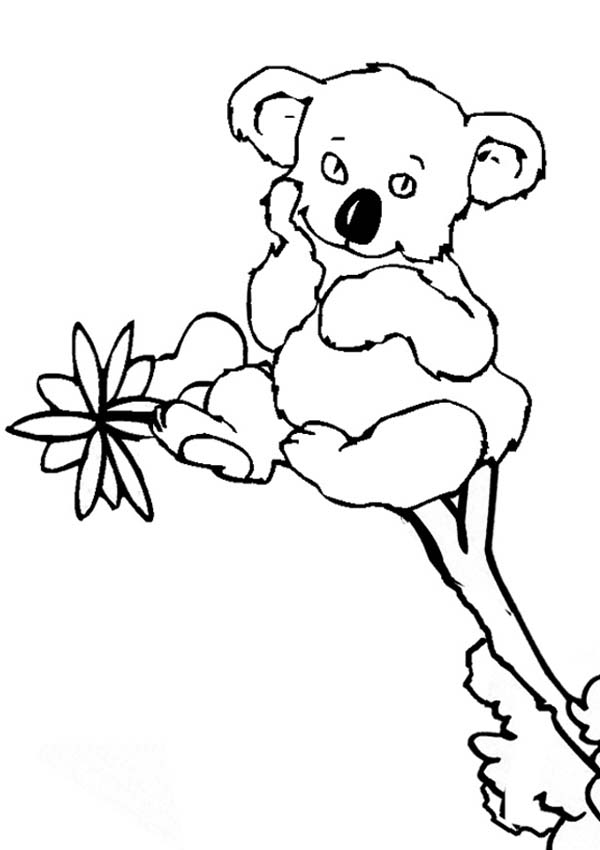 Dessin à colorier: Koala (Animaux) #9431 - Coloriages à Imprimer Gratuits