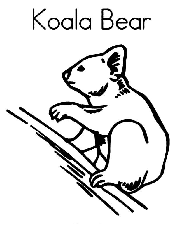 Dessin à colorier: Koala (Animaux) #9444 - Coloriages à Imprimer Gratuits