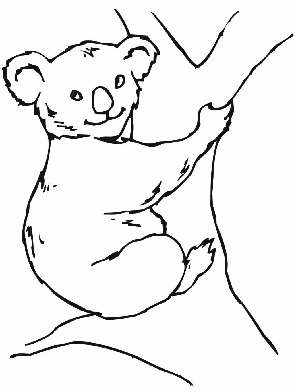Dessin à colorier: Koala (Animaux) #9462 - Coloriages à Imprimer Gratuits