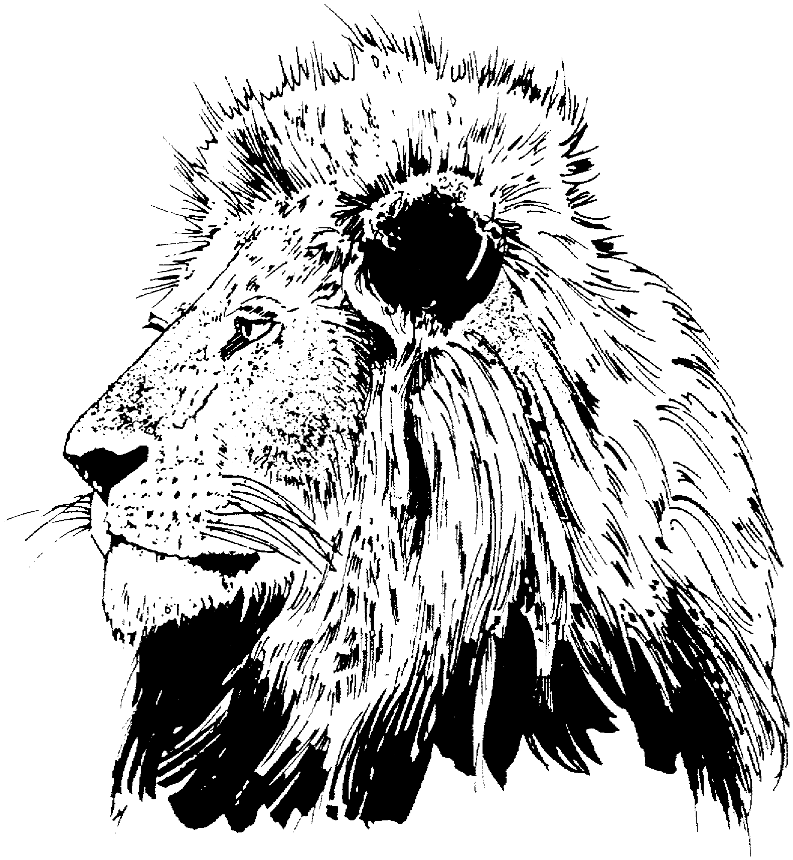 Dessin à colorier: Lion (Animaux) #10316 - Coloriages à Imprimer Gratuits