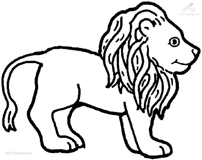 Dessin à colorier: Lion (Animaux) #10340 - Coloriages à Imprimer Gratuits