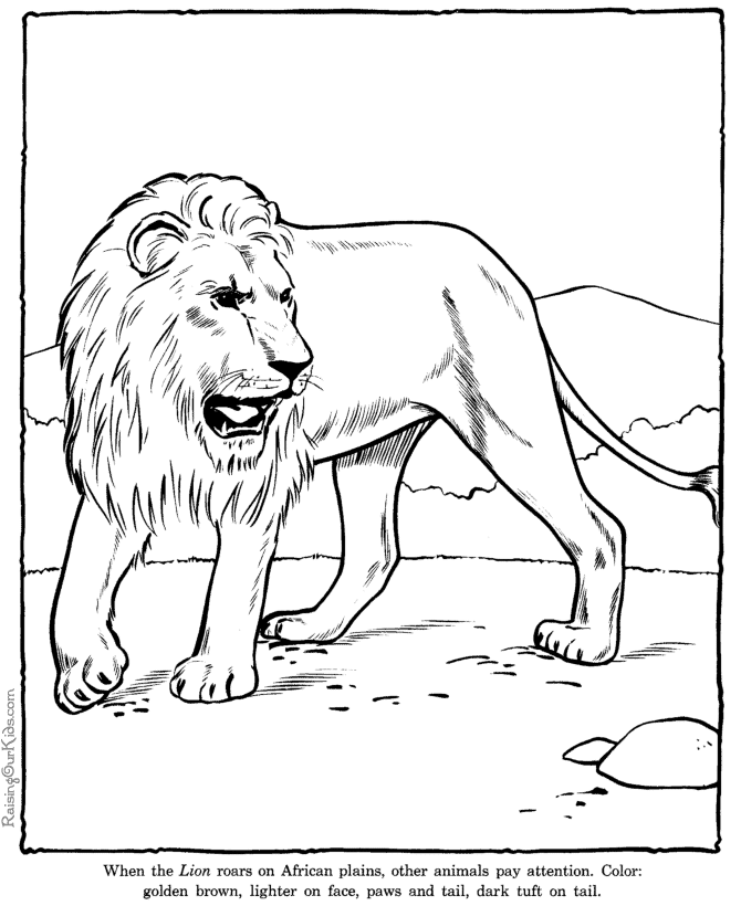 Dessin à colorier: Lion (Animaux) #10399 - Coloriages à Imprimer Gratuits