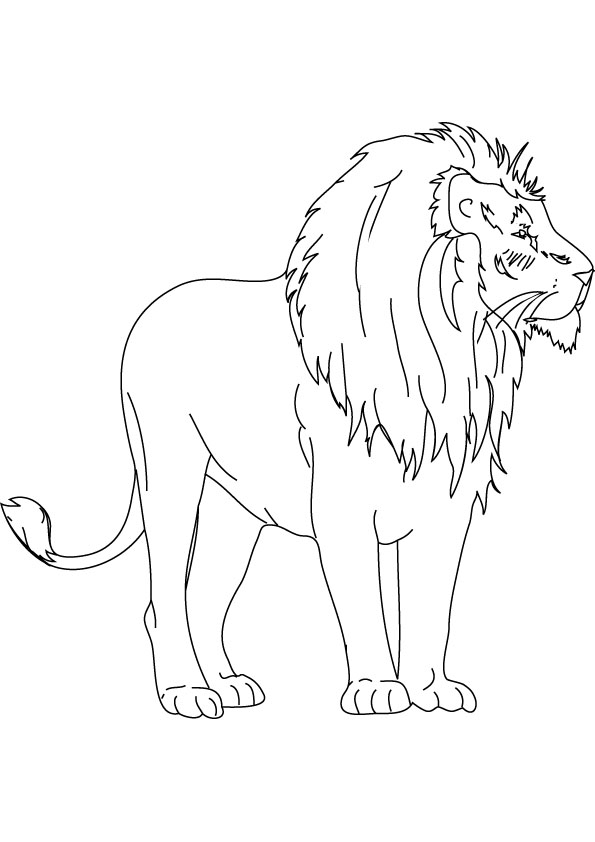 Dessin à colorier: Lion (Animaux) #10437 - Coloriages à Imprimer Gratuits