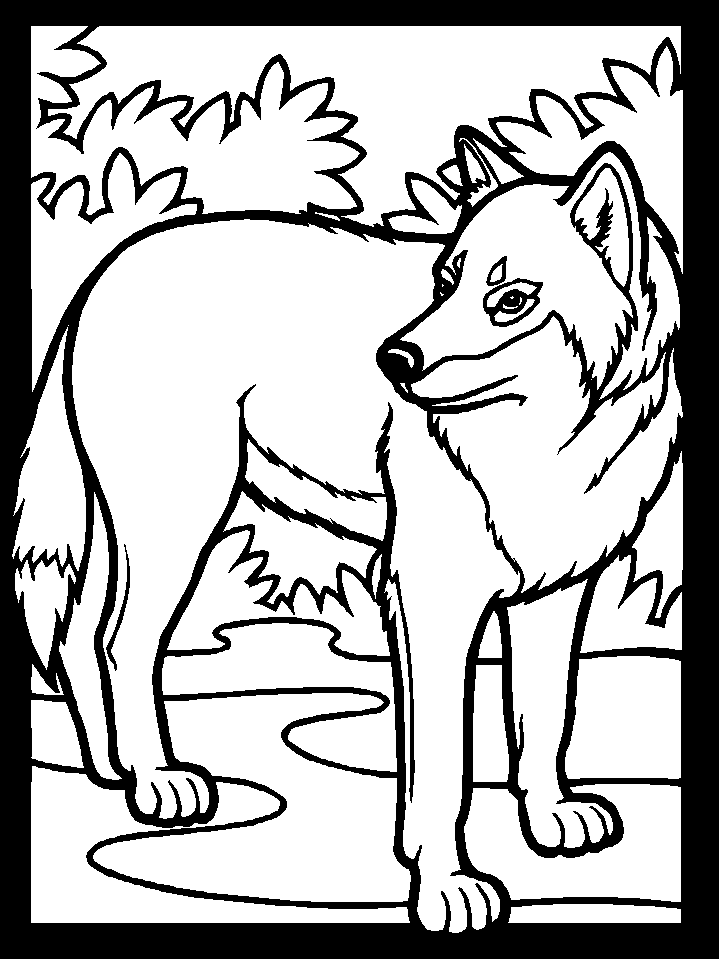 Dessin à colorier: Loup (Animaux) #10440 - Coloriages à Imprimer Gratuits