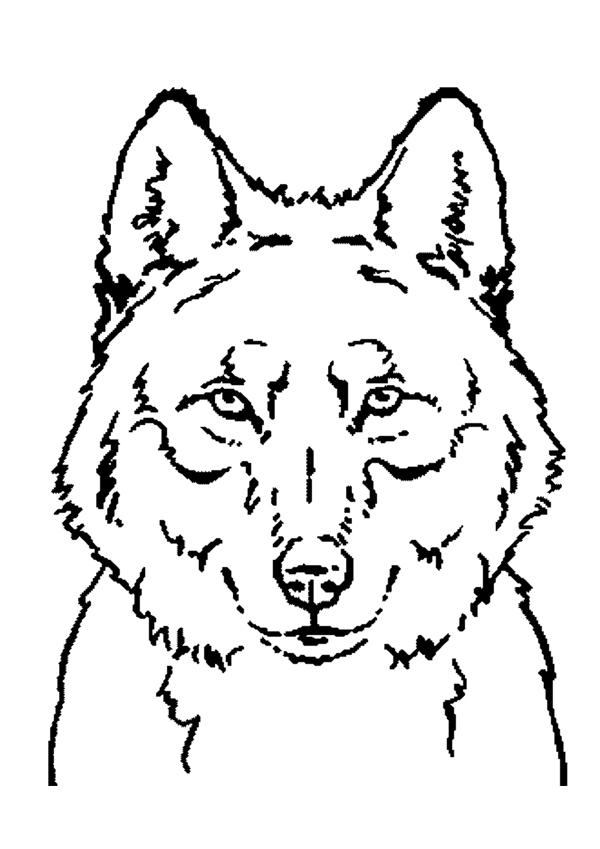 Dessin à colorier: Loup (Animaux) #10450 - Coloriages à Imprimer Gratuits