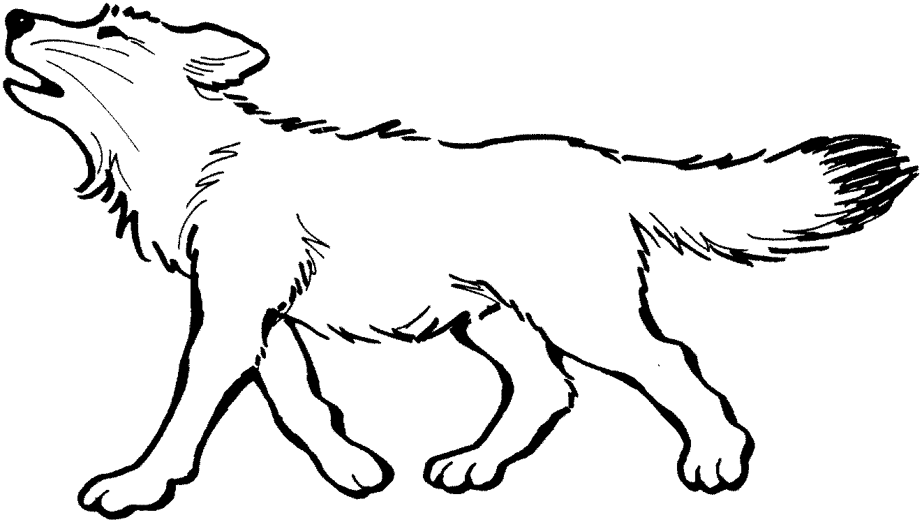 Dessin à colorier: Loup (Animaux) #10456 - Coloriages à Imprimer Gratuits
