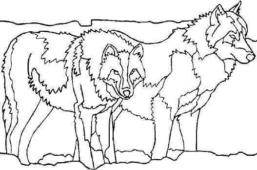 Dessin à colorier: Loup (Animaux) #10535 - Coloriages à Imprimer Gratuits