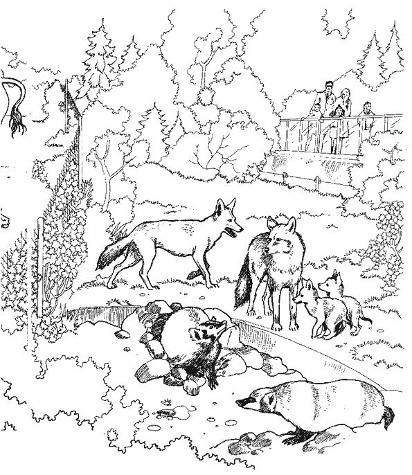 Dessin à colorier: Loup (Animaux) #10540 - Coloriages à Imprimer Gratuits
