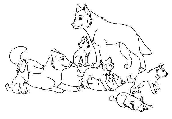 Dessin à colorier: Loup (Animaux) #10556 - Coloriages à Imprimer Gratuits