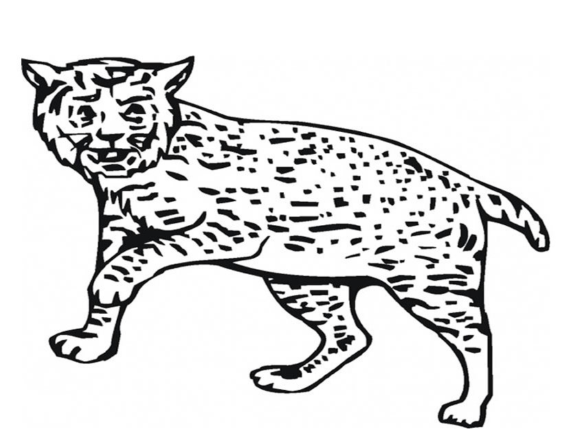 Dessin à colorier: Lynx (Animaux) #10816 - Coloriages à Imprimer Gratuits