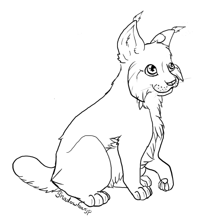Dessin à colorier: Lynx (Animaux) #10868 - Coloriages à Imprimer Gratuits