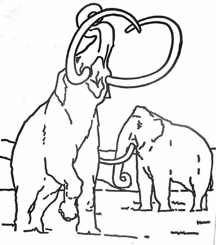 Dessin à colorier: Mammouth (Animaux) #19198 - Coloriages à Imprimer Gratuits