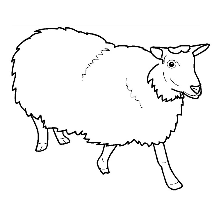 Dessin à colorier: Mouton (Animaux) #11396 - Coloriages à Imprimer Gratuits
