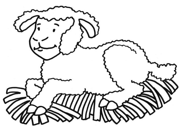 Dessin à colorier: Mouton (Animaux) #11405 - Coloriages à Imprimer Gratuits