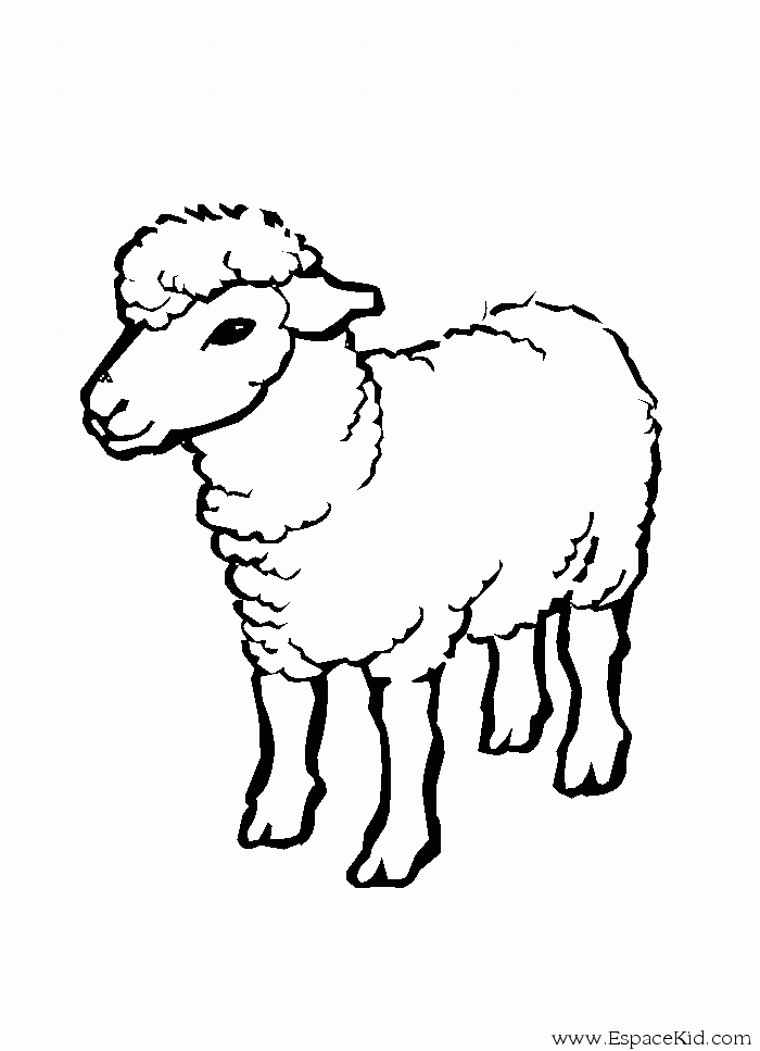Dessin à colorier: Mouton (Animaux) #11409 - Coloriages à Imprimer Gratuits