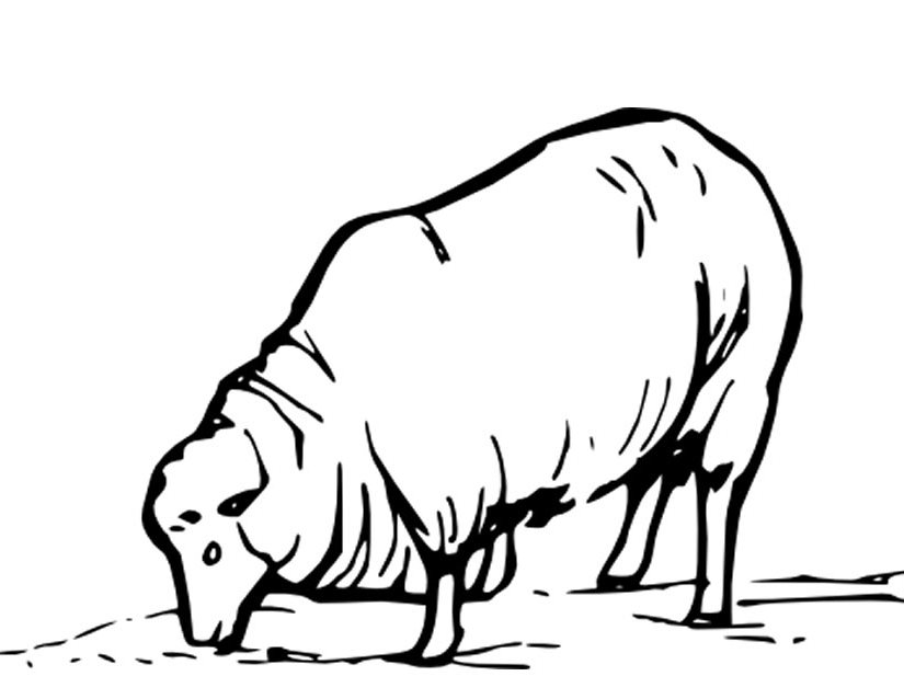 Dessin à colorier: Mouton (Animaux) #11410 - Coloriages à Imprimer Gratuits