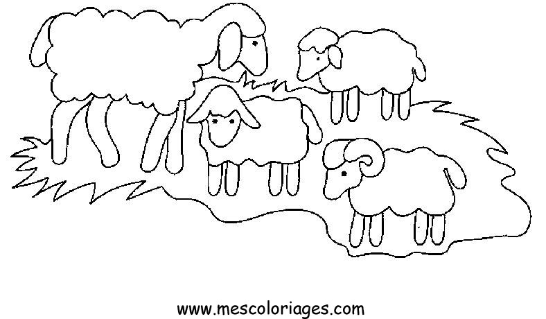 Dessin à colorier: Mouton (Animaux) #11414 - Coloriages à Imprimer Gratuits