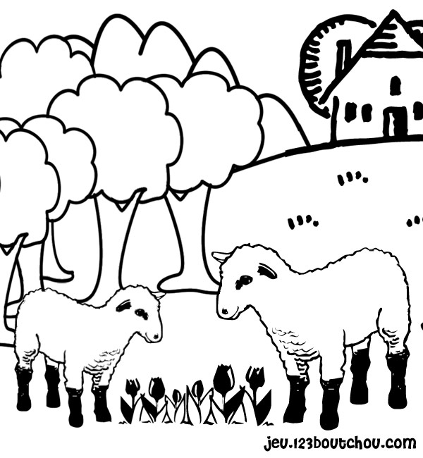 Dessin à colorier: Mouton (Animaux) #11416 - Coloriages à Imprimer Gratuits