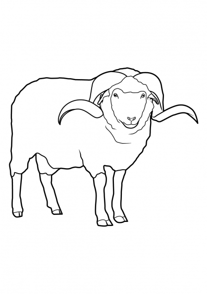 Dessin à colorier: Mouton (Animaux) #11421 - Coloriages à Imprimer Gratuits