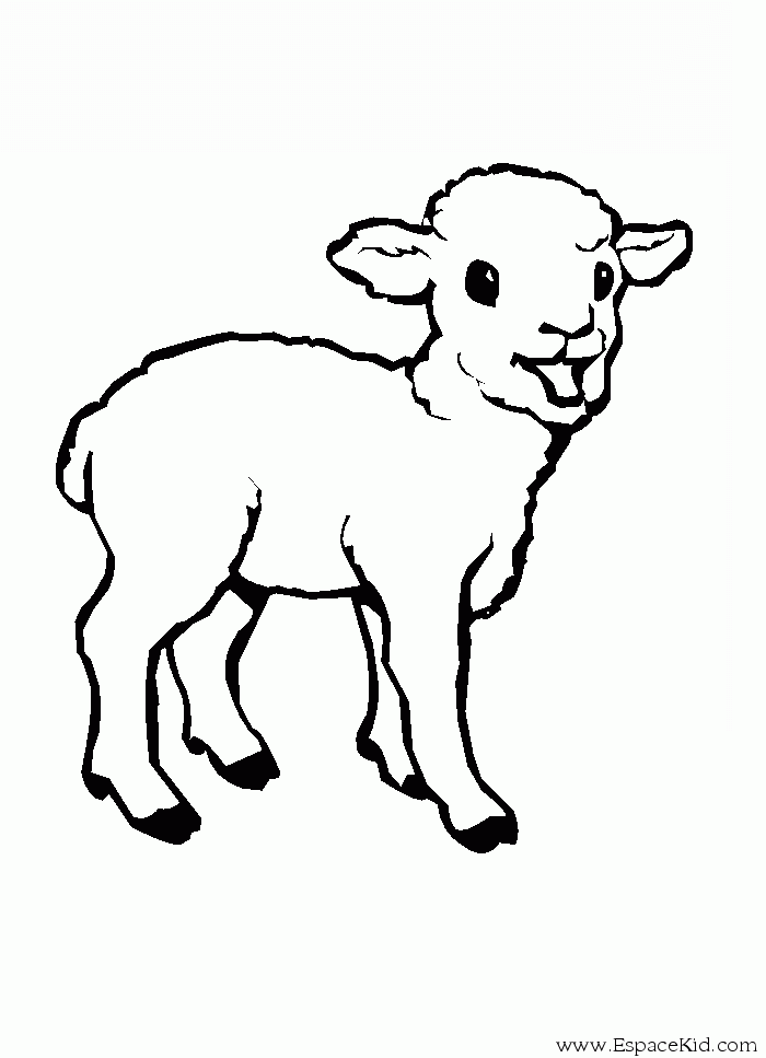 Dessin à colorier: Mouton (Animaux) #11427 - Coloriages à Imprimer Gratuits