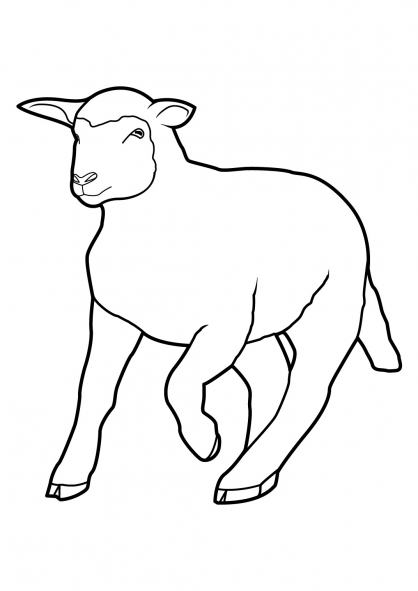 Dessin à colorier: Mouton (Animaux) #11428 - Coloriages à Imprimer Gratuits