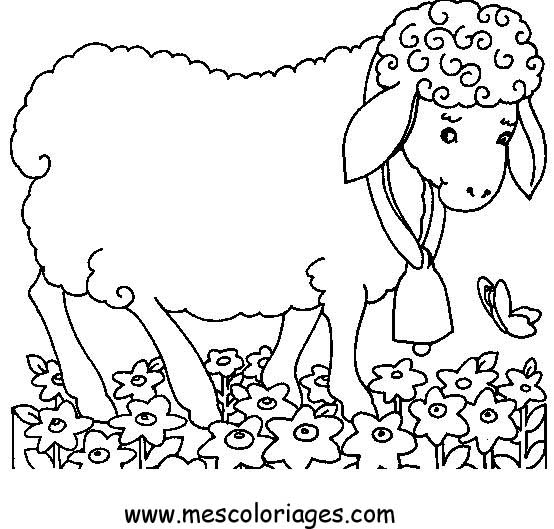 Dessin à colorier: Mouton (Animaux) #11429 - Coloriages à Imprimer Gratuits