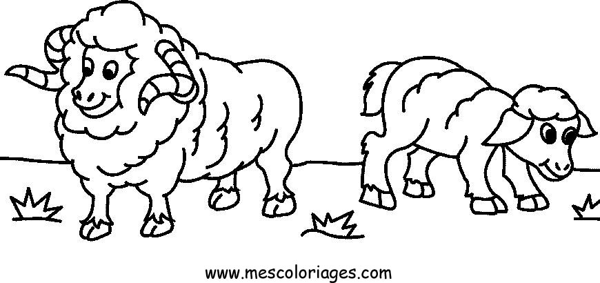 Dessin à colorier: Mouton (Animaux) #11456 - Coloriages à Imprimer Gratuits