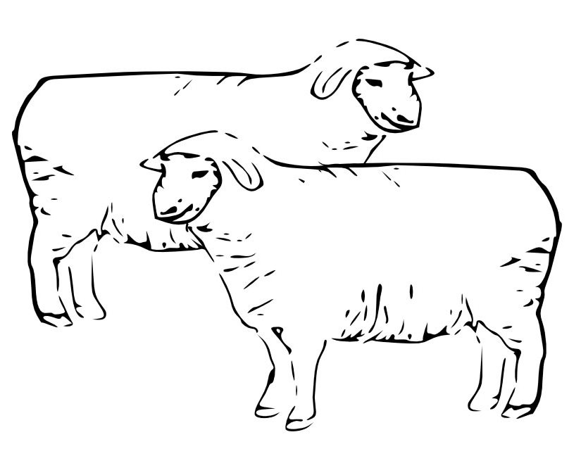 Dessin à colorier: Mouton (Animaux) #11476 - Coloriages à Imprimer Gratuits
