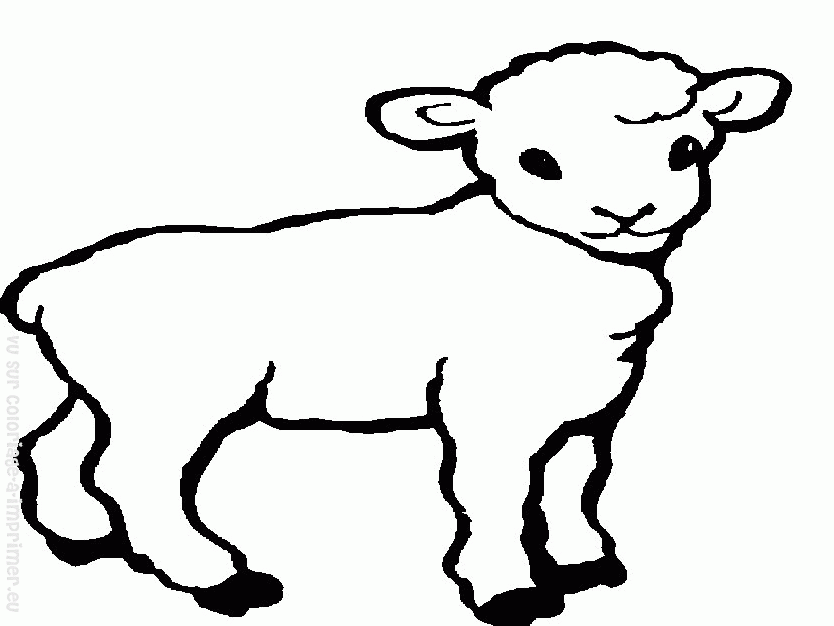 Dessin à colorier: Mouton (Animaux) #11505 - Coloriages à Imprimer Gratuits