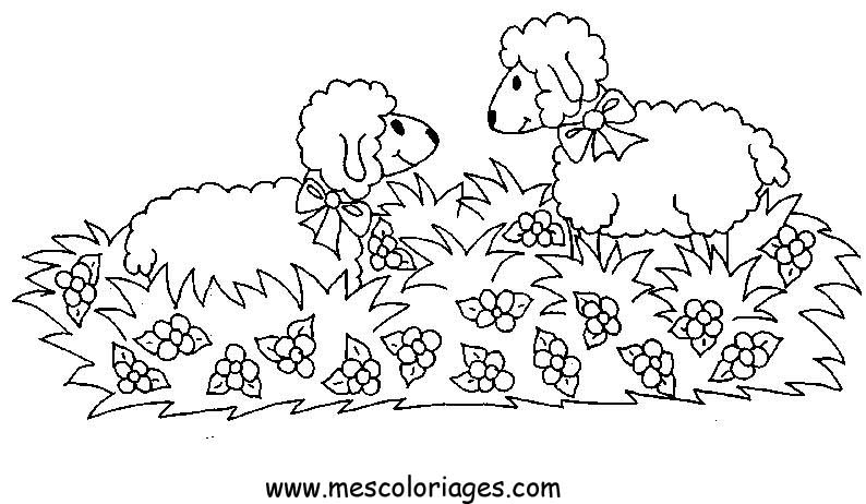 Dessin à colorier: Mouton (Animaux) #11516 - Coloriages à Imprimer Gratuits
