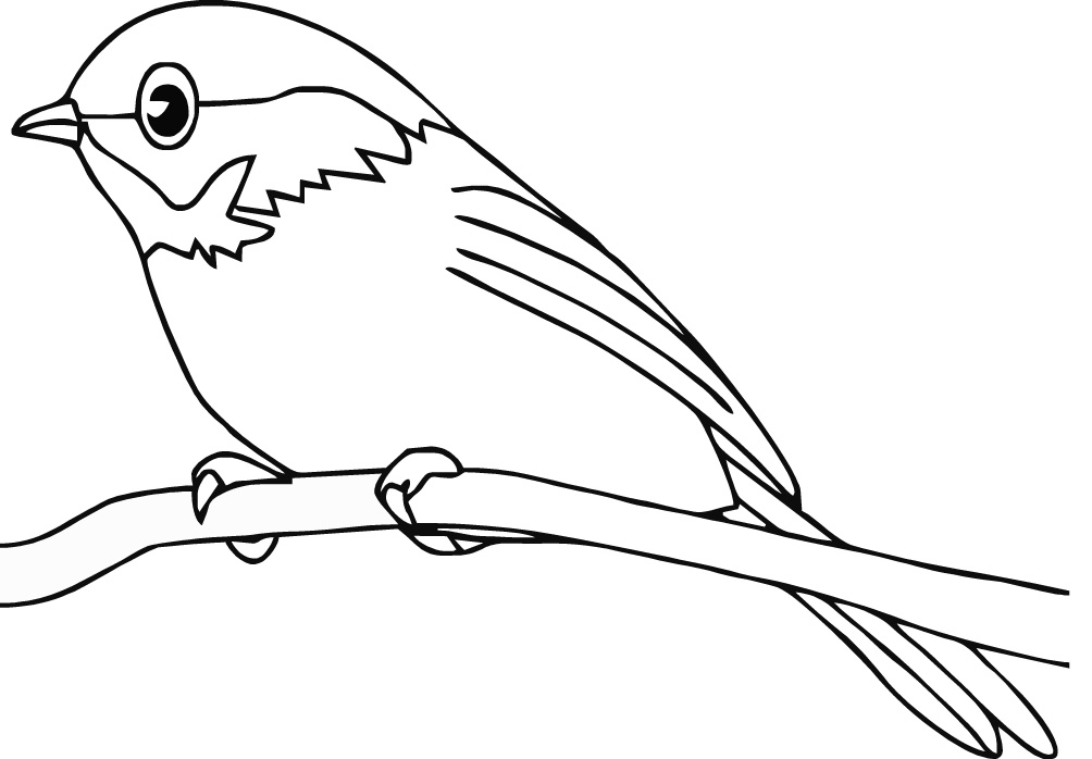 Dessin à colorier: Oiseaux (Animaux) #11840 - Coloriages à Imprimer Gratuits