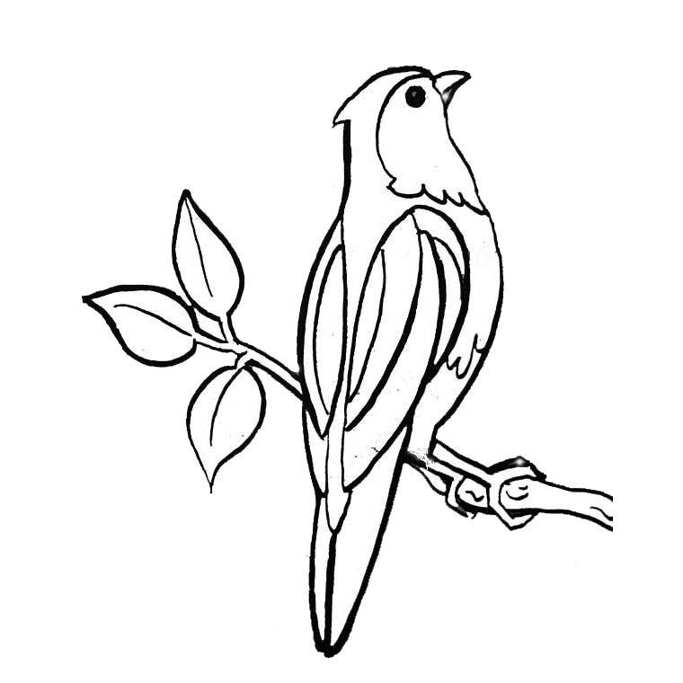 Dessin à colorier: Oiseaux (Animaux) #11893 - Coloriages à Imprimer Gratuits