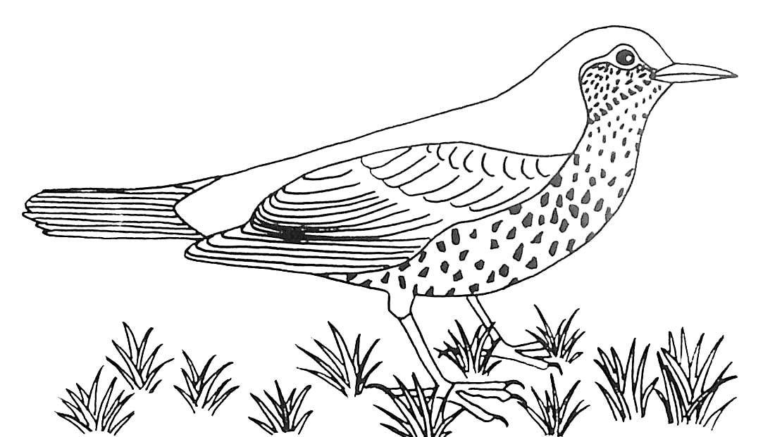 Dessin à colorier: Oiseaux (Animaux) #11973 - Coloriages à Imprimer Gratuits
