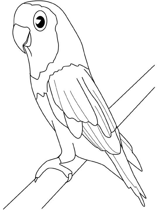 Dessin à colorier: Oiseaux (Animaux) #12084 - Coloriages à Imprimer Gratuits