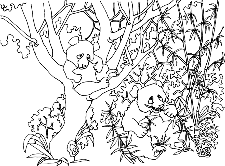 Dessin à colorier: Panda (Animaux) #12603 - Coloriages à Imprimer Gratuits