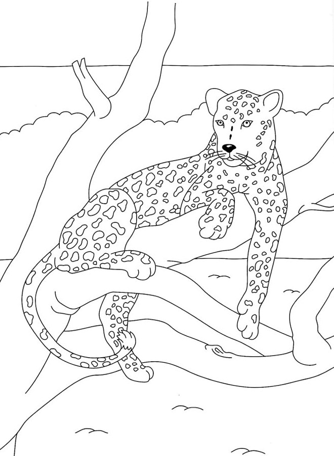 Dessin à colorier: Panthère (Animaux) #15557 - Coloriages à Imprimer Gratuits