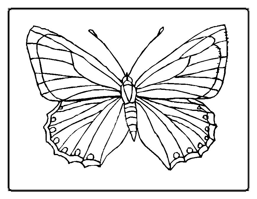 Dessin à colorier: Papillon (Animaux) #15663 - Coloriages à Imprimer Gratuits