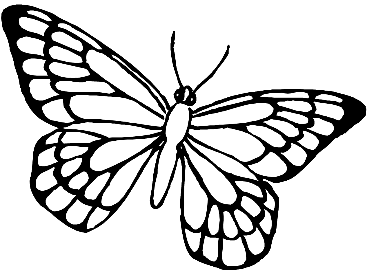 Dessin à colorier: Papillon (Animaux) #15768 - Coloriages à Imprimer Gratuits