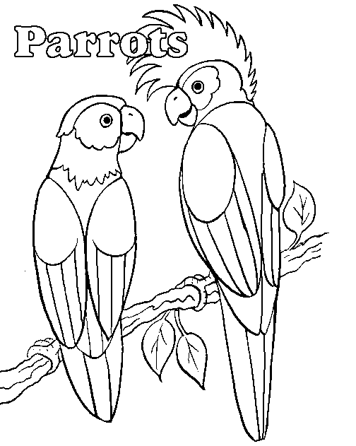 Dessin à colorier: Perroquet (Animaux) #16068 - Coloriages à Imprimer Gratuits