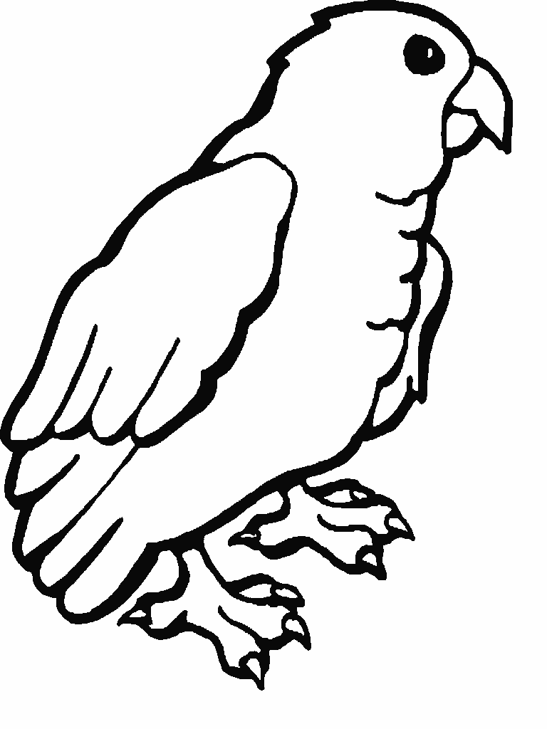 Dessin à colorier: Perroquet (Animaux) #16109 - Coloriages à Imprimer Gratuits