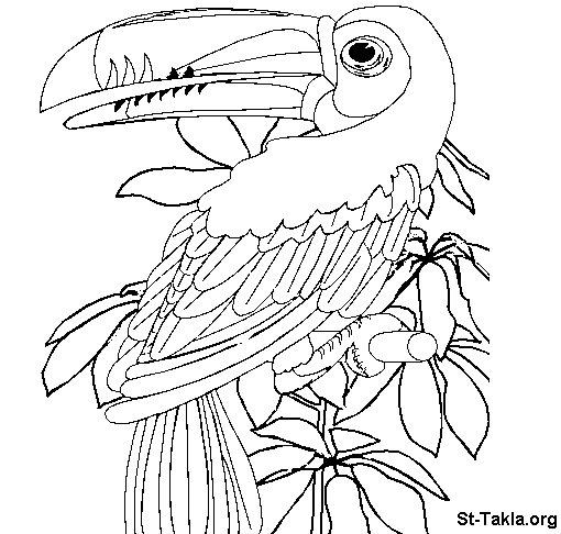 Dessin à colorier: Perroquet (Animaux) #16121 - Coloriages à Imprimer Gratuits