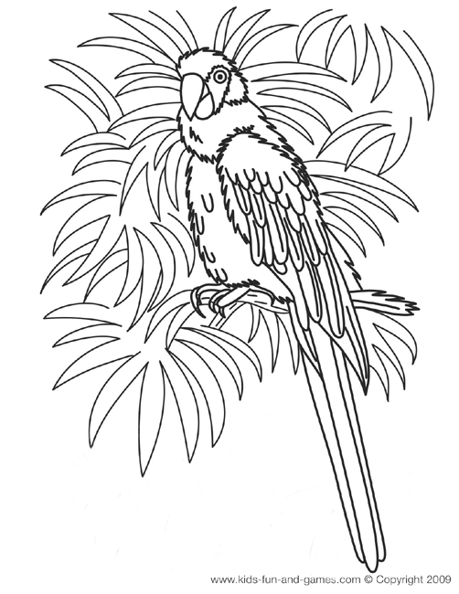 Dessin à colorier: Perroquet (Animaux) #16150 - Coloriages à Imprimer Gratuits