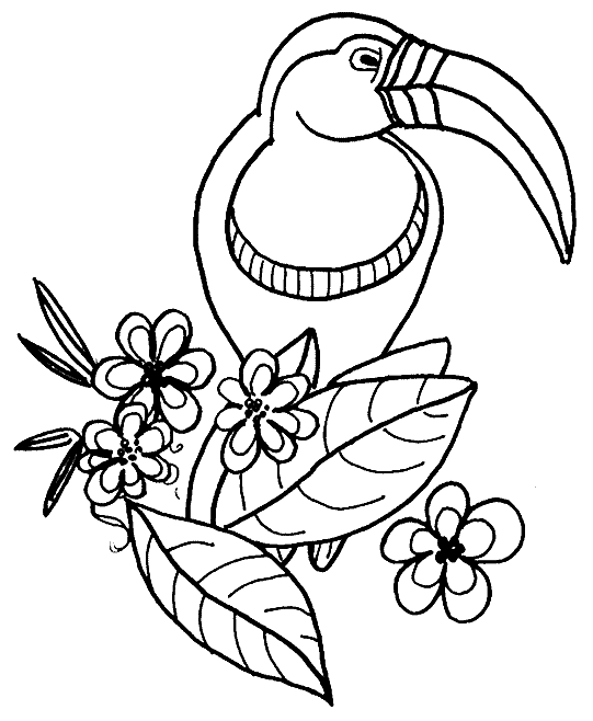 Dessin à colorier: Perroquet (Animaux) #16164 - Coloriages à Imprimer Gratuits