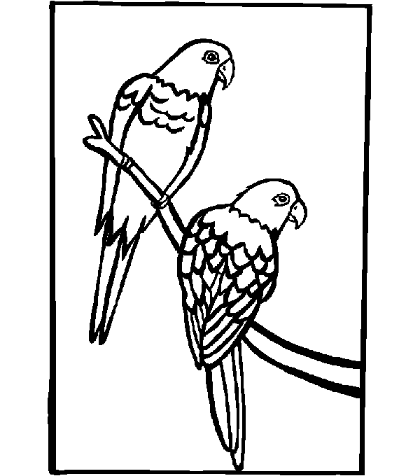 Dessin à colorier: Perroquet (Animaux) #16212 - Coloriages à Imprimer Gratuits